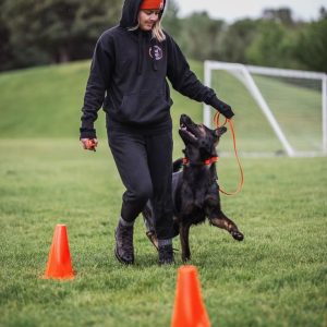 Sport Training