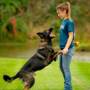 Service Dog Training
